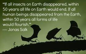 Humanity | Quotes | Pinterest | Earth, Food For Thought and Fun Facts via Relatably.com