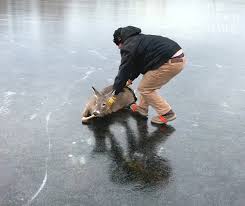 EpochTV | 𝗠𝗮𝗻 𝗦𝗹𝗶𝗱𝗲𝘀 𝗗𝗲𝗲𝗿 𝗔𝗰𝗿𝗼𝘀𝘀 𝗮 𝗙𝗿𝗼𝘇𝗲𝗻 𝗣𝗼𝗻𝗱 Thank you for rescuing the deer! Credit: ViralHog 🧶Watch more Viral Videos by going to the link in... | Instagram