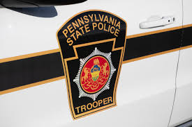 Dog ‘mortally wounded’ after being shot in mouth with BB gun in York County
