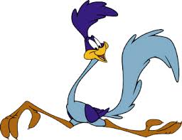 Image result for image road runner cartoon