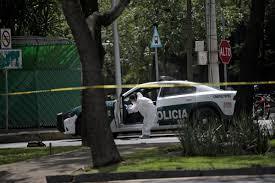 Mexican Beauty Queen Carolina Flores Gomez Dead at 27 After Apartment Shooting