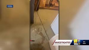 Basement Nightmare! Residents Demand Answers After Flooding Crisis!