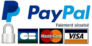 Résultat de recherche d'images pour "logo paypal"