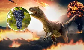 Dino Extinction Paved Way for Grapes—and Wine—to 'Spread Across the World'