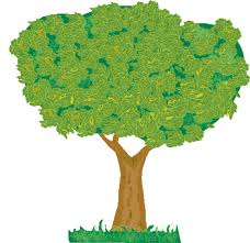 Resultado de imagen de las plantas