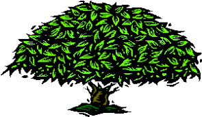 Résultat de recherche d'images pour "GIF ARBRE"