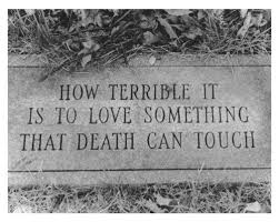 Image result for looking for life in the cemeteries