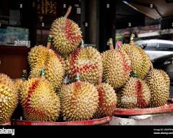 Image of Durian fruit on display at a market in Cambodia