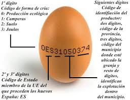 Resultado de imagen de youtube imagenes de huevos naturales