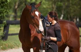 Resultado de imagen de caballos y jinetes