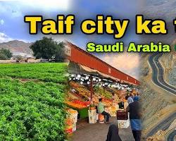 صورة Taif, Saudi Arabia