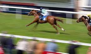 Racing Post - News update