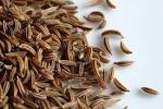 Caraway seeds norsk