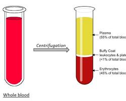 Image of Plasma blood