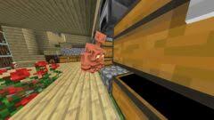 News source: OREFOLDER