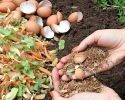 healthy organic garden soil rich in carbon compost and earthworms photo, AI generated