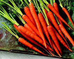 Image of Carrot vegetable