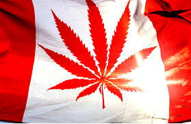Resultado de imagen de Legalization