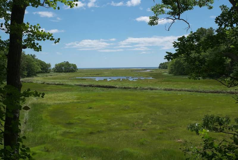 Rachel Carson National Wildlife Refuge