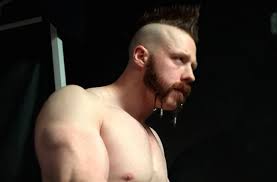 Resultado de imagem para sheamus