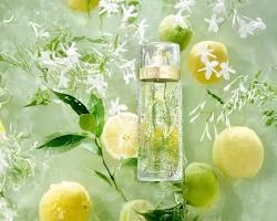 Imagem de Perfume cítrico