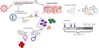 Myocarditis Linked to COVID-19 Vaccination | npj Vaccines - 1