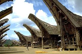 Hasil gambar untuk rumah adat toraja