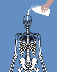 Image result for strong bones