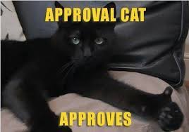 Image result for cat memes