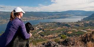 Image result for images of spring in Summerland, bC