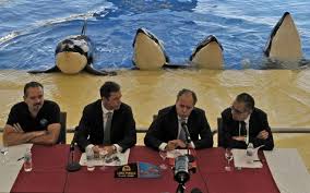 Resultado de imagen de imagenes de loro parque