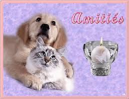 Résultat de recherche d'images pour "fond d'écran sur l'amitié"