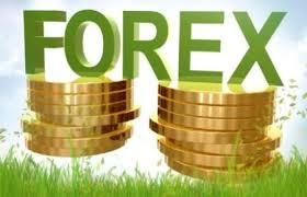 Hasil gambar untuk forex