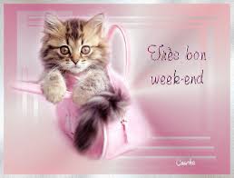 Résultat de recherche d'images pour "gif week end chat"