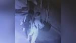 CCTV Shows Delhi Family Organised