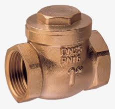 Guidi | Bronze Swing Check Valve | 1670B - Environmental ...