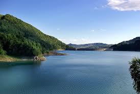 Imagini pentru imagini lacul paltin