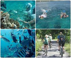Image result for hòn đảo Lembongan