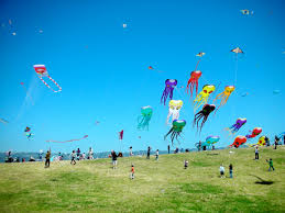 Image result for kites