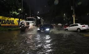 Lluvias afectan 36 viviendas y derriban 31 árboles en CDMX