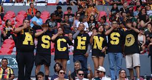 Leones Negros