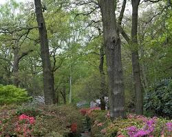 Image of Richmond Park in Richmond