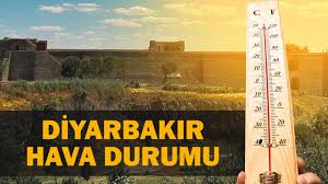 Amed Haber - News update
