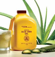 Bildresultat för Aloe Vera