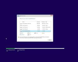 Image of Windows 10 custom install partition screen