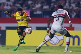 Joao Rojas: ¿Por qué la Recuperación se Prolonga y Cuándo Volverá a las Canchas?