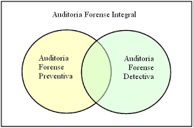 Resultado de imagen para informe de auditoria sobre fraude