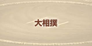 朝乃山、十両復帰へ王手！劇的勝利で5勝目 - 名古屋場所