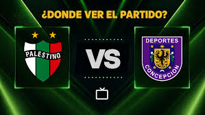 palestino x club social y de deportes concepción