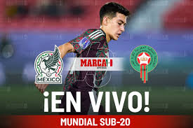 Marca - News update